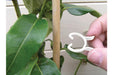 Bio - Based Plant Clips_Strings & Ties