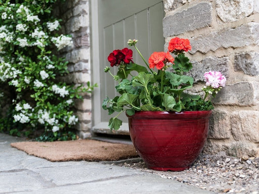 Striped Feather Pot_Flower Pots