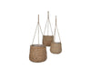 Sencha Woven Hanging Basket_Hanging Baskets